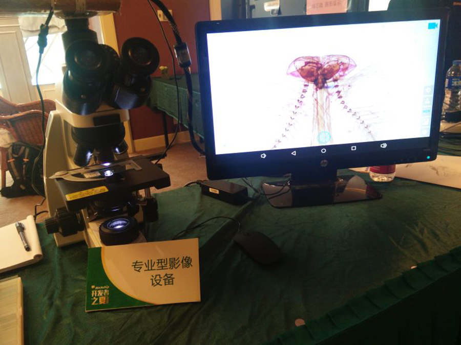 Stake(中国区)官方网站